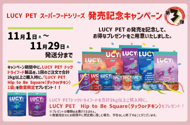 HWキャンペーン