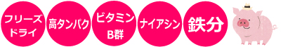 ̂Ԑg