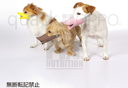 ペット用口輪 OPPO(オッポ)quack(クァック)