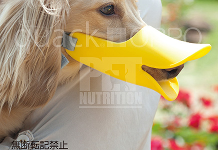 ペット用口輪 OPPO(オッポ)quack(クァック)