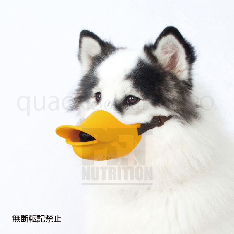ペット用口輪 < OPPO（オッポ）・quack closed（クァック クローズド） > - Pet Nutrition Online  ペットニュートリションオンライン