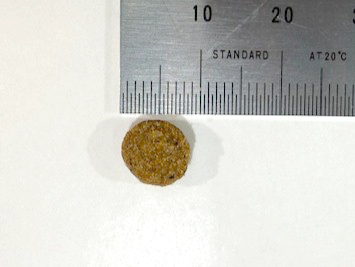 ナチュラルバランス オリジナルウルトラ ホールボディへルス