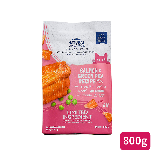 インドアキャット