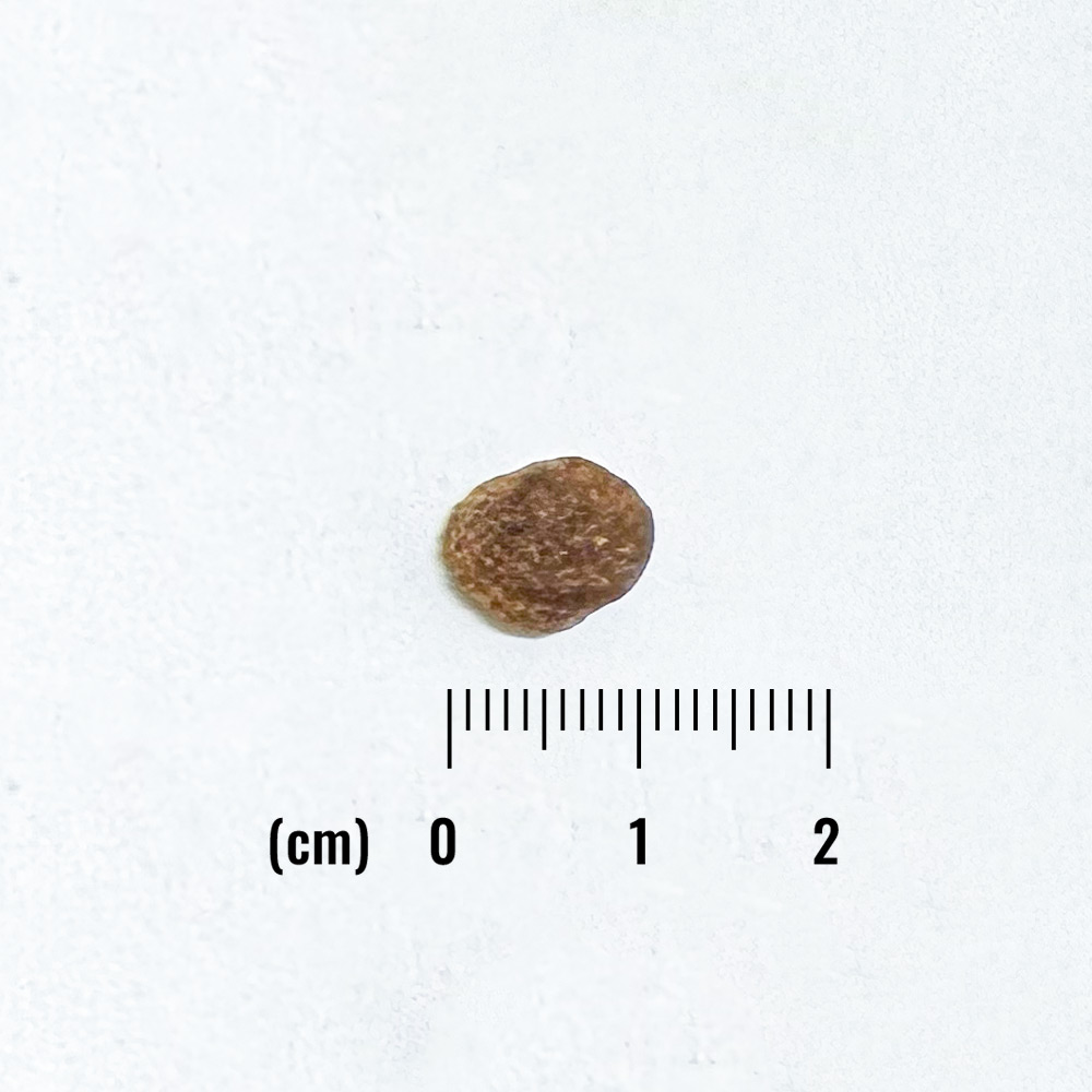 LID RESERVE 成犬用 ダック&ポテトレシピ 小粒の詳細