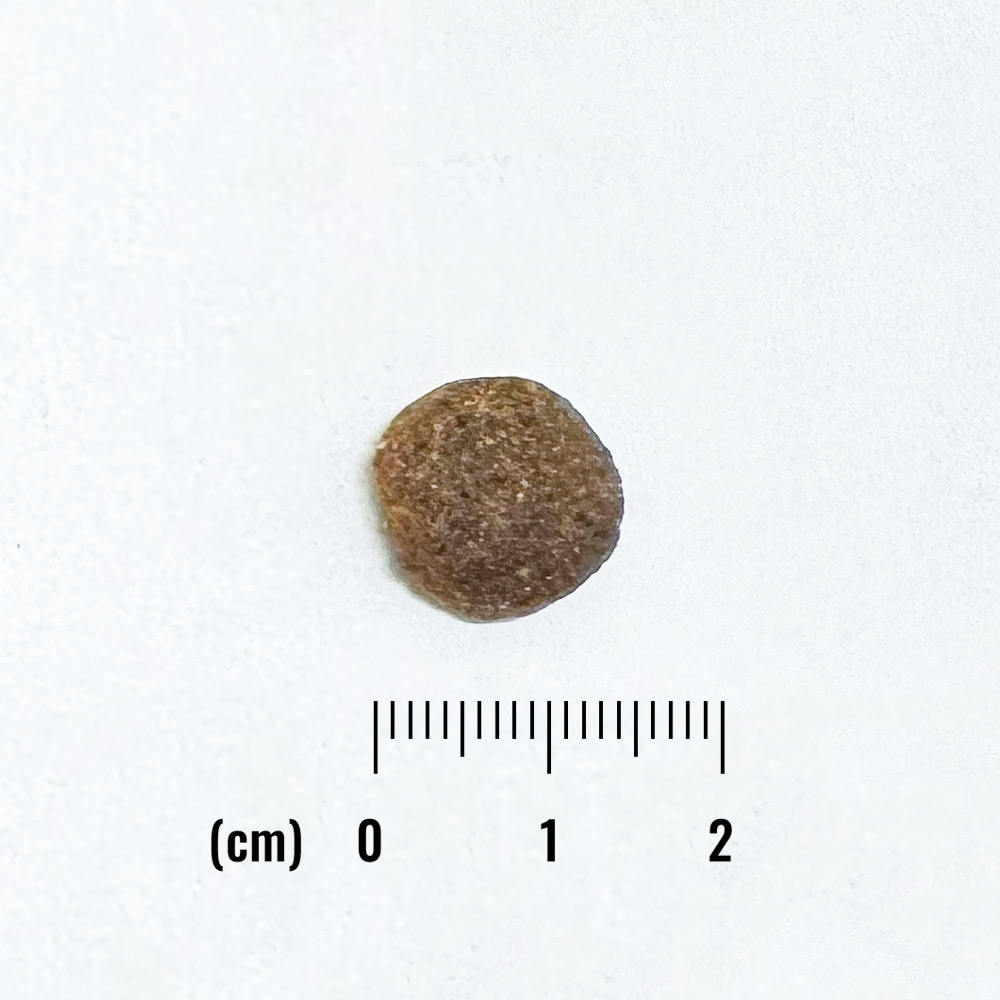 LID RESERVE 成犬用 スイートポテト&バイソン レシピの詳細