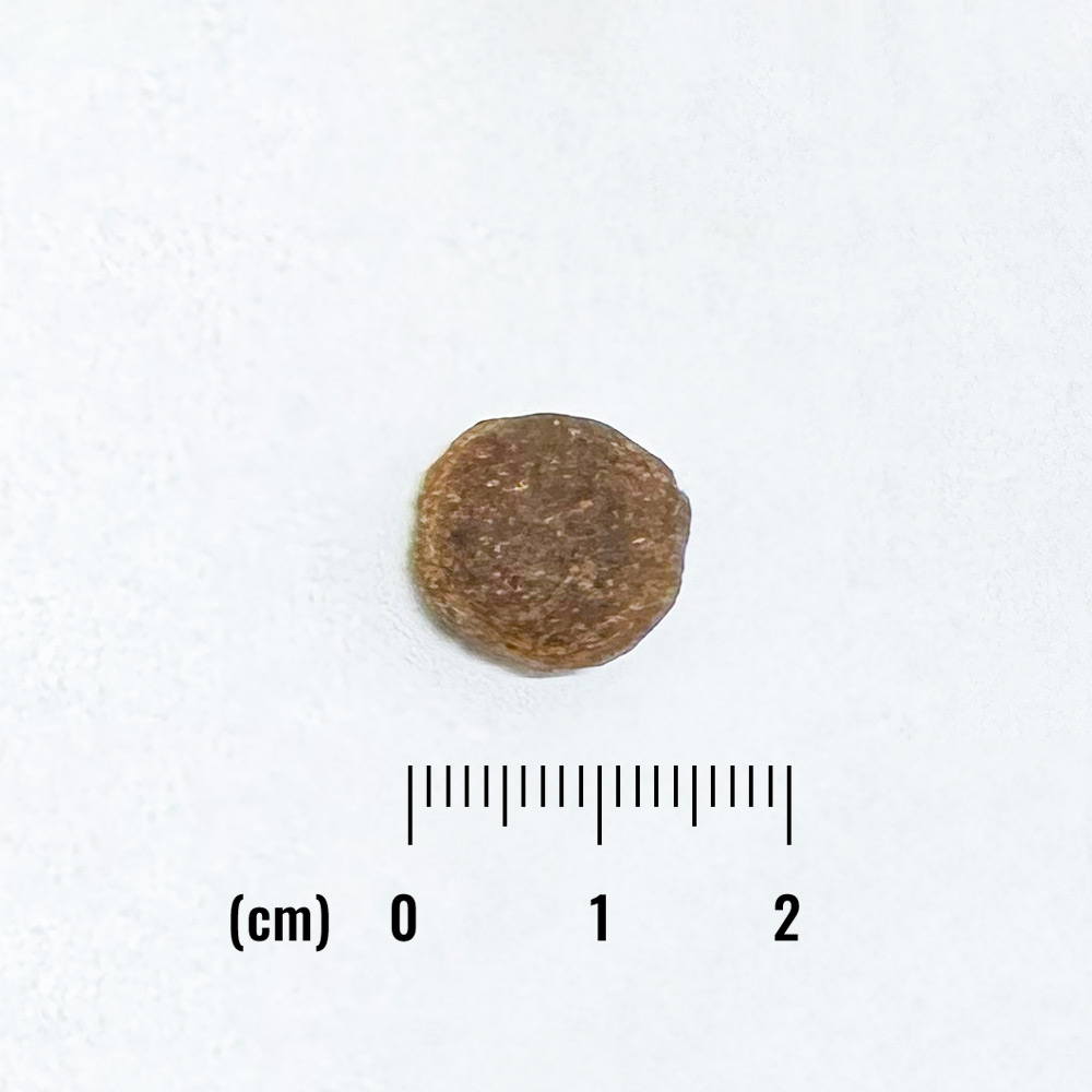 LID 成犬用 サーモン&スイートポテトレシピの詳細