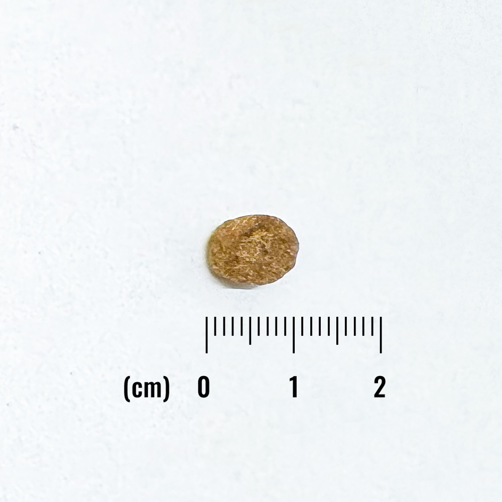 LID 成犬用 サーモン&スイートポテトレシピ 小粒の詳細