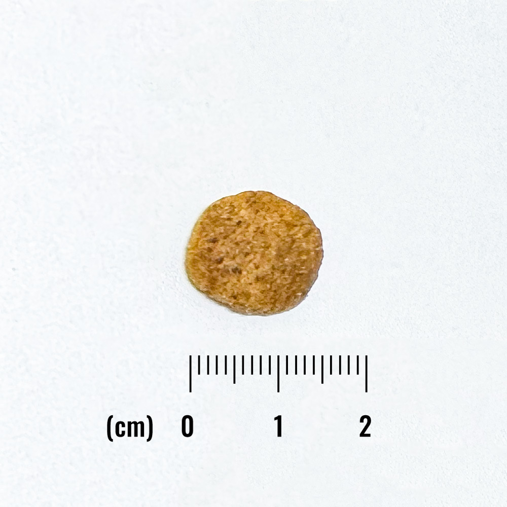 LID RESERVE 成犬用 スイートポテト&鹿肉 レシピの詳細