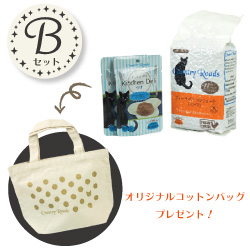 CRお試しキャンペーン