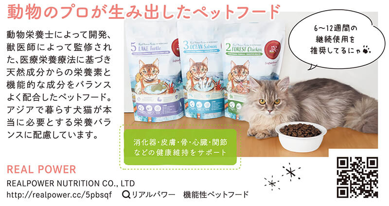 雑誌『ねこのきもち』に掲載されました!