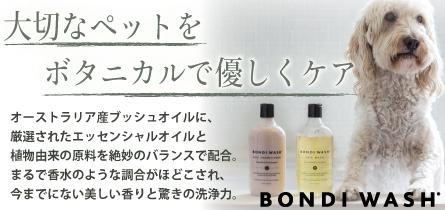ボンダイウォッシュ