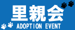 サイト運営会社 株式会社リフレックス 会社案内